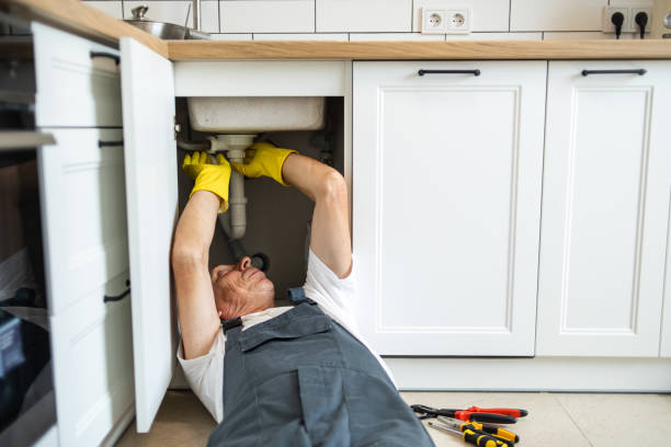 Best Garbage Disposal Repair and Installation  in New Vienna, OH